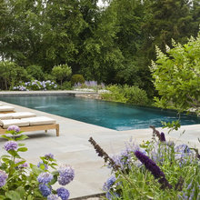 Pool Inspiration