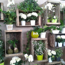 mur de jardin sud