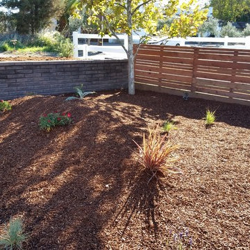 Drought Tolerant
