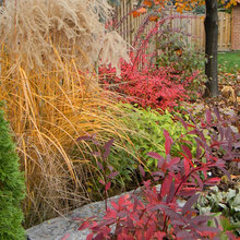 Landscape Ideas