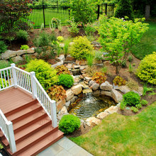 Pond