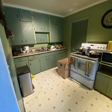 Whole Kitchen Remodel