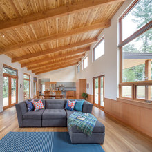 lake shed roof patio