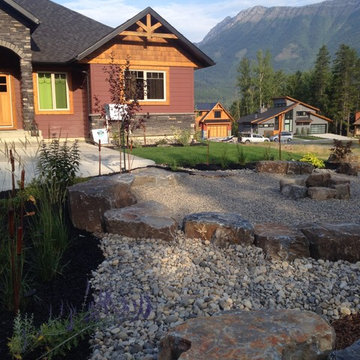 New yard Design