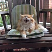 Ann Marie Schuster's photo