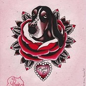 Foto von Renee Bangerter