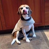 Emily Fulton's photo