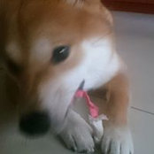 Yumi Chang's photo