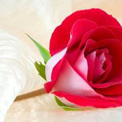 Jasmi Anaz's photo