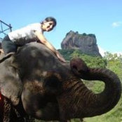 Ginita Oberoi's photo