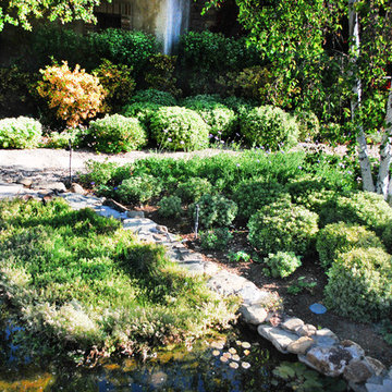 Rancho Santa Fe Front Yard
