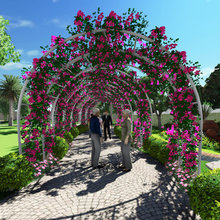 Landscape Solution Service JSC ( LSS) 2