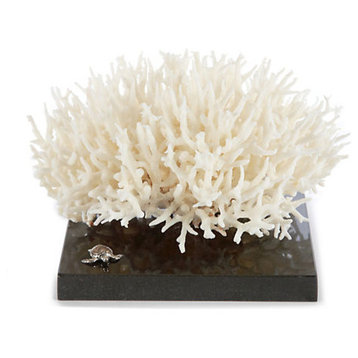 White Nest Coral resting on Black Granite Base with a Sterling Silver Whimsy.
