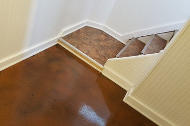 Basement Renovation