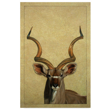 James W. Johnson 'Kudu' Canvas Art, 24"x16"
