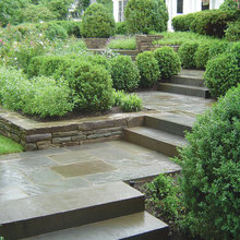 Wendy - Terrace Idea’s