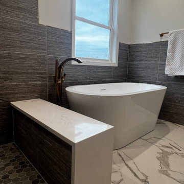Carol Stream Master Bathroom