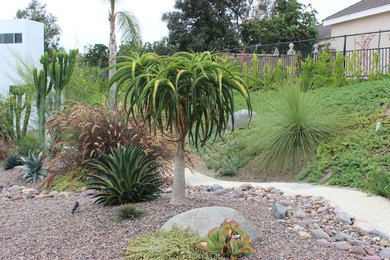 Inspiration for a contemporary landscaping in San Diego.