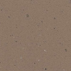 Corian&reg; Serene Sage is a deep neutral warmed sage with translucent particles. - Products