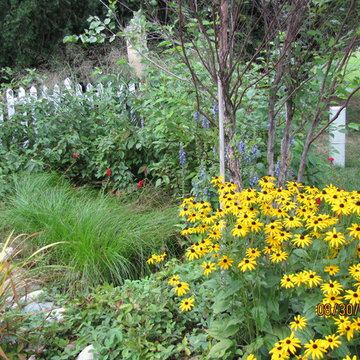 Compilation of Rain Garden Projects