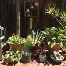 Gardens!