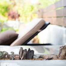 Japanese Rock Zen Garden