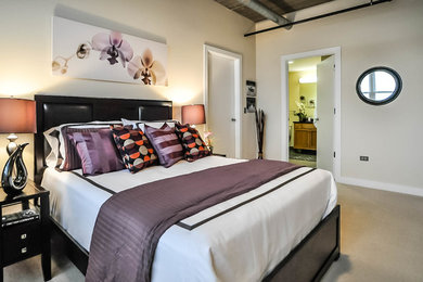 Inspiration for a contemporary master carpeted bedroom remodel in Chicago with beige walls