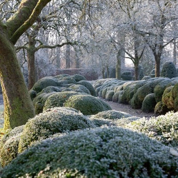 Cloud Pruning | Design | Pruning & Care