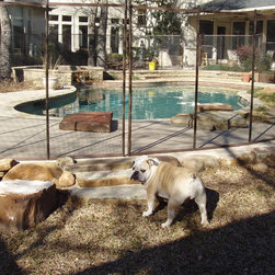 Swimming Pool Fence - Products