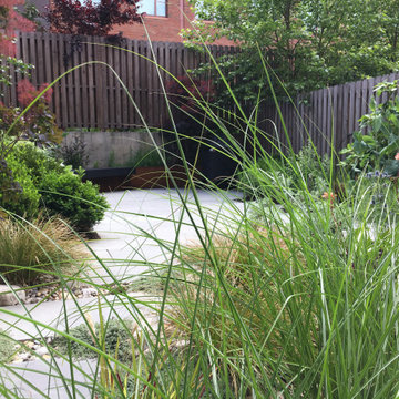 Modern Garden with Curved Corten Border