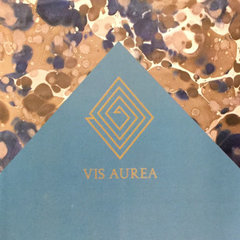 Vis Aurea Interiors