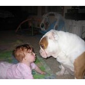 Brent Rogers's photo