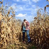 Ashley Aversa's photo