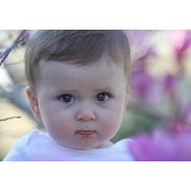 Lisa Dent's photo