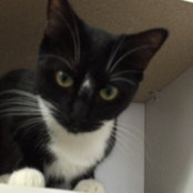 Joanne Castillo's photo
