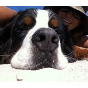 Tracy Blanken Zeller's photo