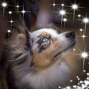 Foto von Dianne Lynch