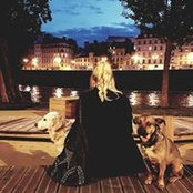 Catherine Bastien's photo