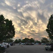 Patty Kapperman Woods's photo