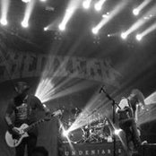 Amberly Anderson's photo
