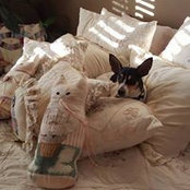 Gladys Choyke's photo