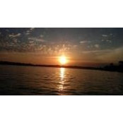 Amy Stokes's photo