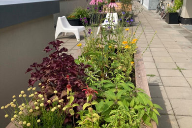 Inspiration for a large rooftop rooftop deck container garden remodel in Berlin