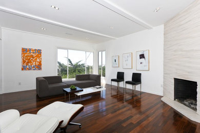 Living room - contemporary living room idea in San Francisco