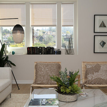 Warmington Residential: NELA Union - Plan 4 Living Room