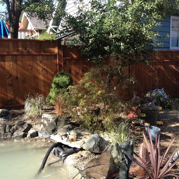Zen Water project - ongoing