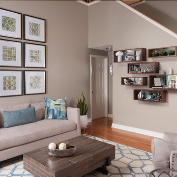 Contemporary Living Room