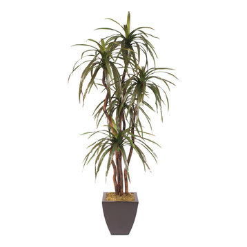 Yucca Tree With Natural Wood in Metal Square Container, 6'