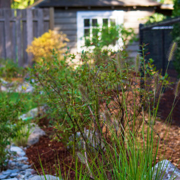 West Linn Dog-Friendly Back Yard