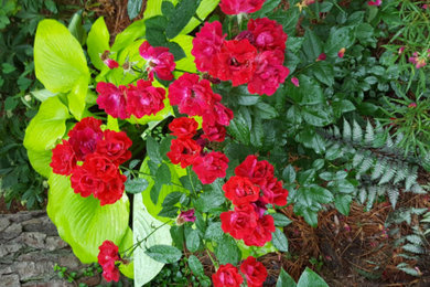 Inspiration for a transitional landscaping in Raleigh.